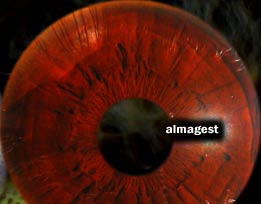 almagest